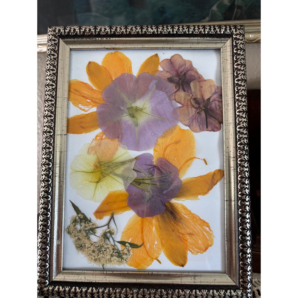 Vintage Framed Pressed Flower Art Botanical‎ Collage Silver Frame Floral 5x7